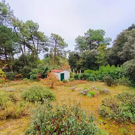 Chez Marie-louise Nyaraló Longeville-sur-Mer