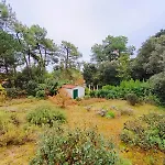 Chez Marie-louise Hébergement de vacances Longeville-sur-Mer