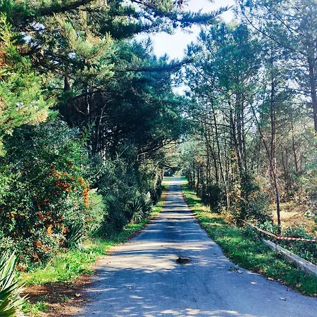 Chez Marie-louise Longeville-sur-Mer